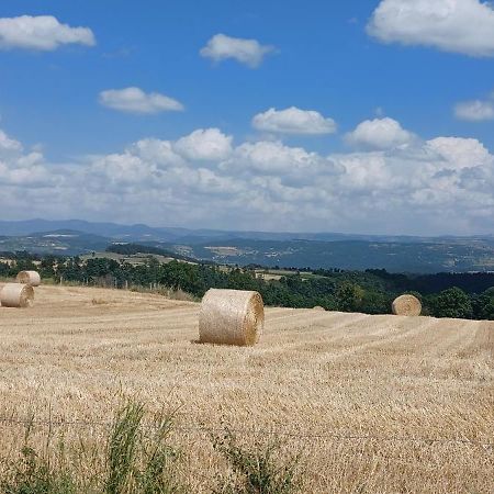 Gite Le Petit Nice Pradelles Exterior foto