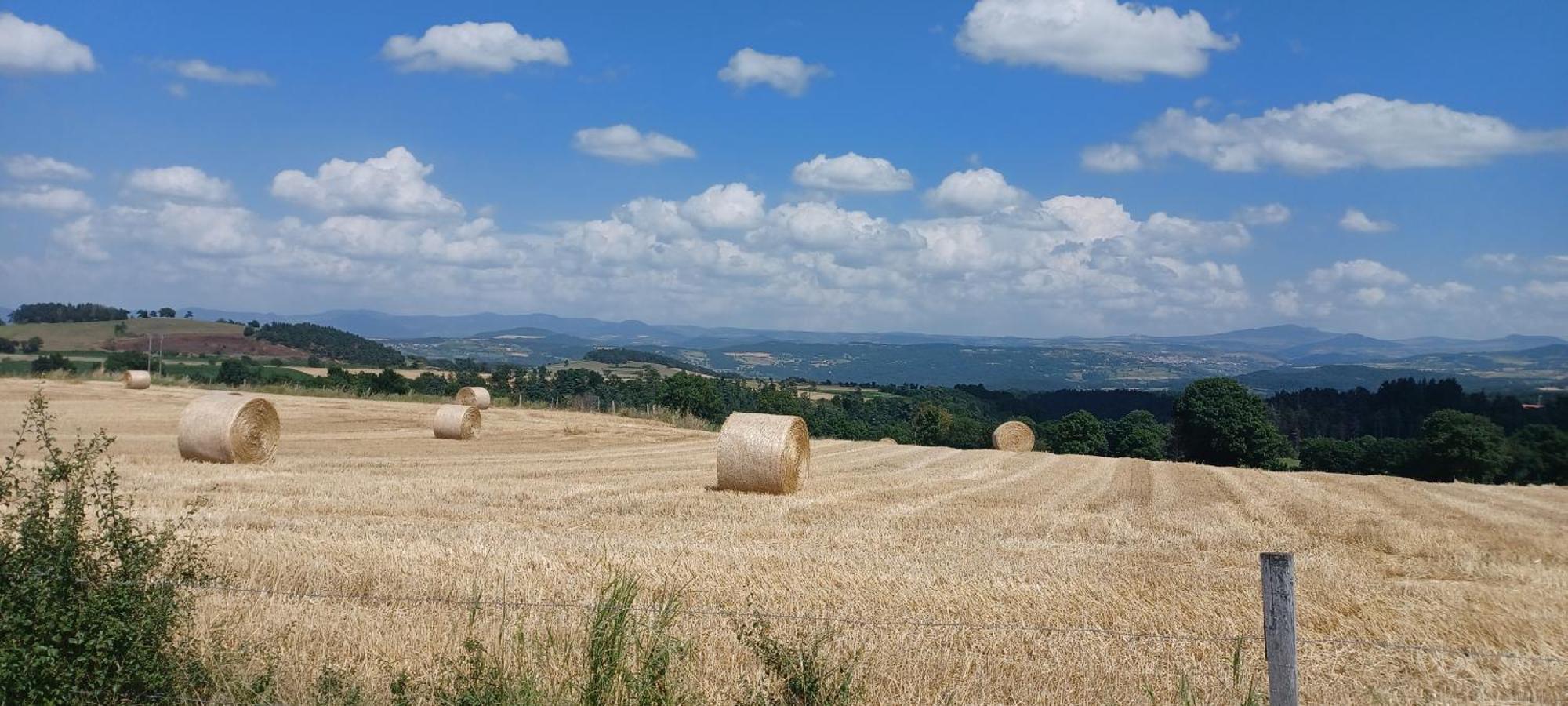 Gite Le Petit Nice Pradelles Exterior foto